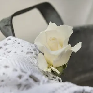 Couette-café Il Giardino Di Ortensia