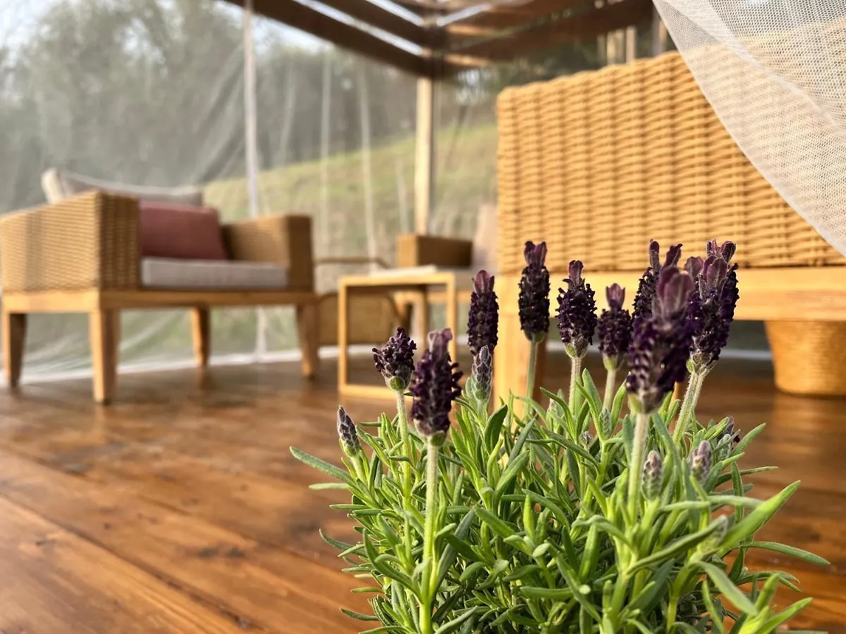 Casa Del Pino Bed & Breakfast Borgo a Buggiano