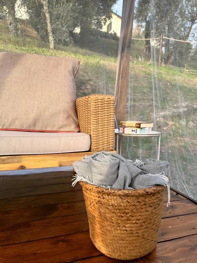Casa Del Pino Bed & Breakfast Borgo a Buggiano