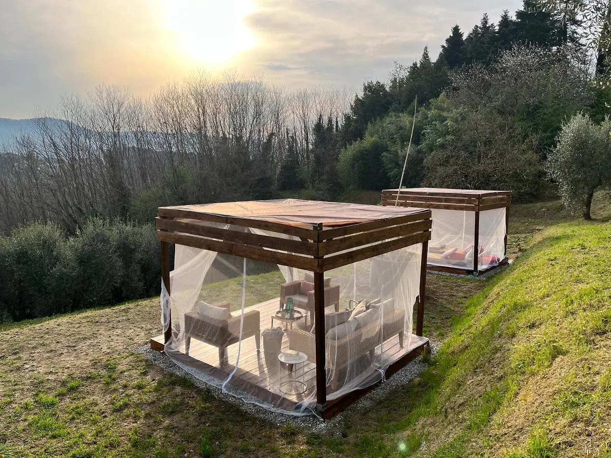 Casa Del Pino Bed & Breakfast Borgo a Buggiano