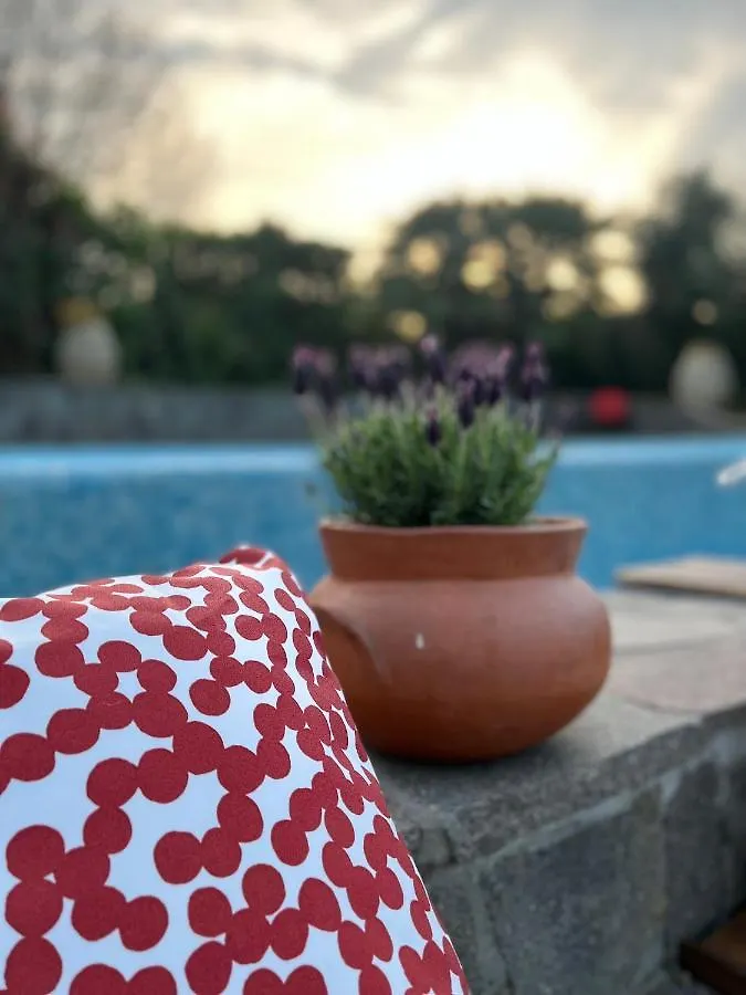 Casa Del Pino Bed & Breakfast Borgo a Buggiano Italy