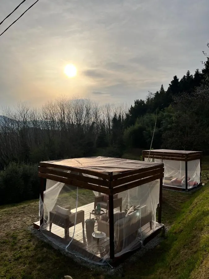 Casa Del Pino Bed & Breakfast Borgo a Buggiano 0*,