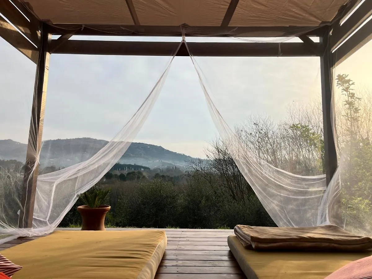 Casa Del Pino Bed & Breakfast Borgo a Buggiano