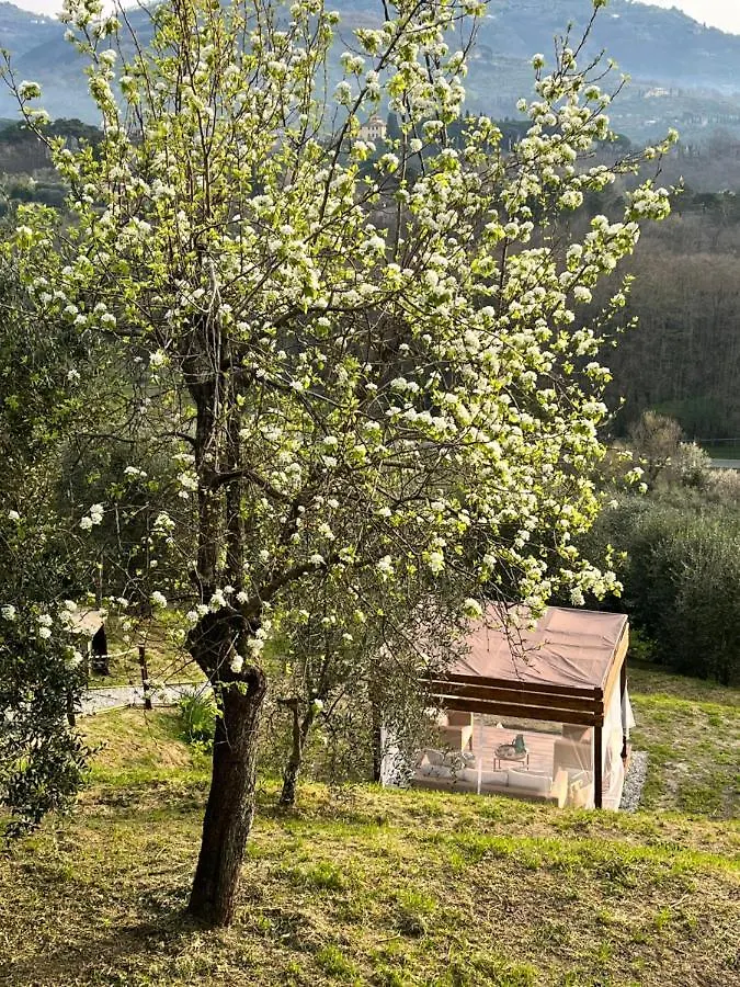Casa Del Pino Bed & Breakfast Borgo a Buggiano