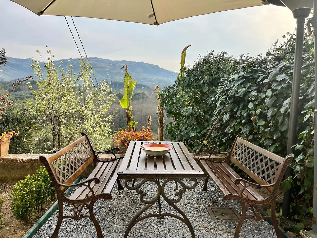Casa Del Pino Bed & Breakfast Borgo a Buggiano 0*,