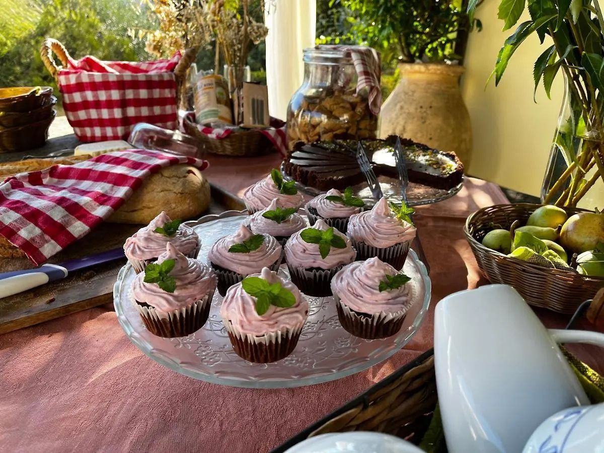 Casa Del Pino Bed & Breakfast Borgo a Buggiano 0*,